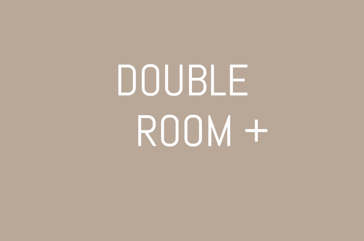 Standard double room +